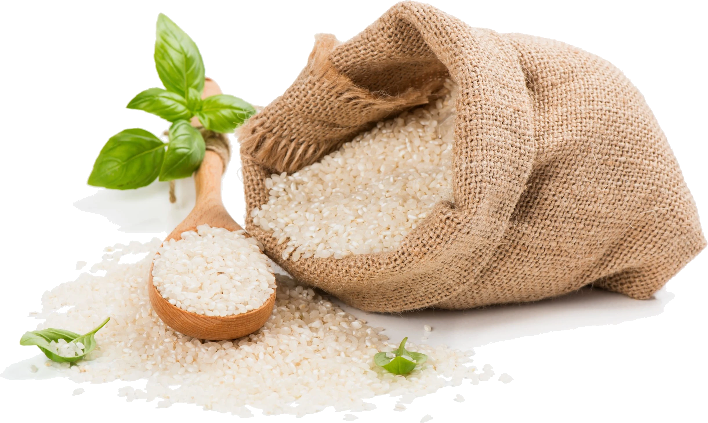 Flour & Atta Supplier in Qatar
